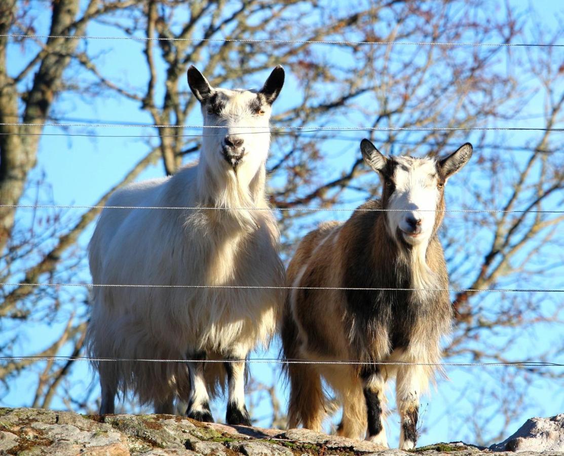 J A Ranch Bed & Breakfast Stromsnasbruk Bagian luar foto