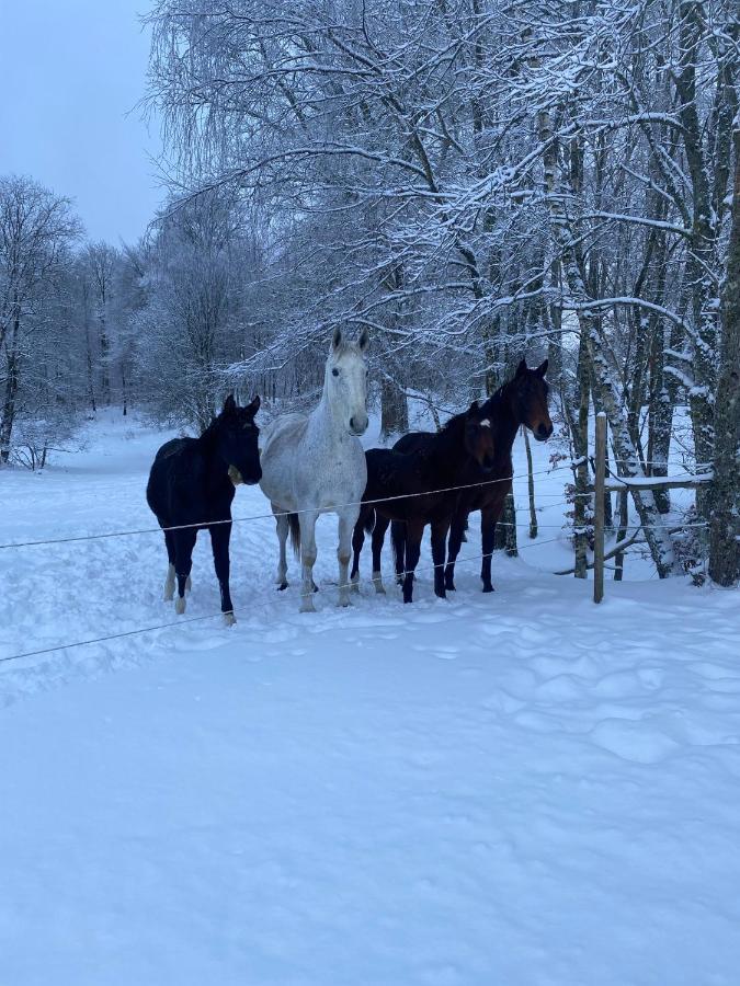J A Ranch Bed & Breakfast Stromsnasbruk Bagian luar foto