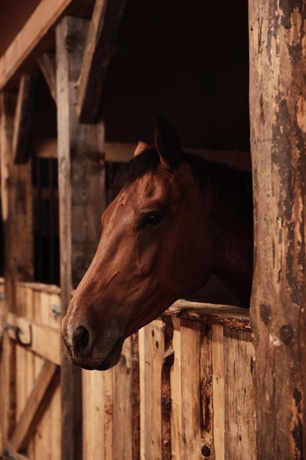J A Ranch Bed & Breakfast Stromsnasbruk Bagian luar foto