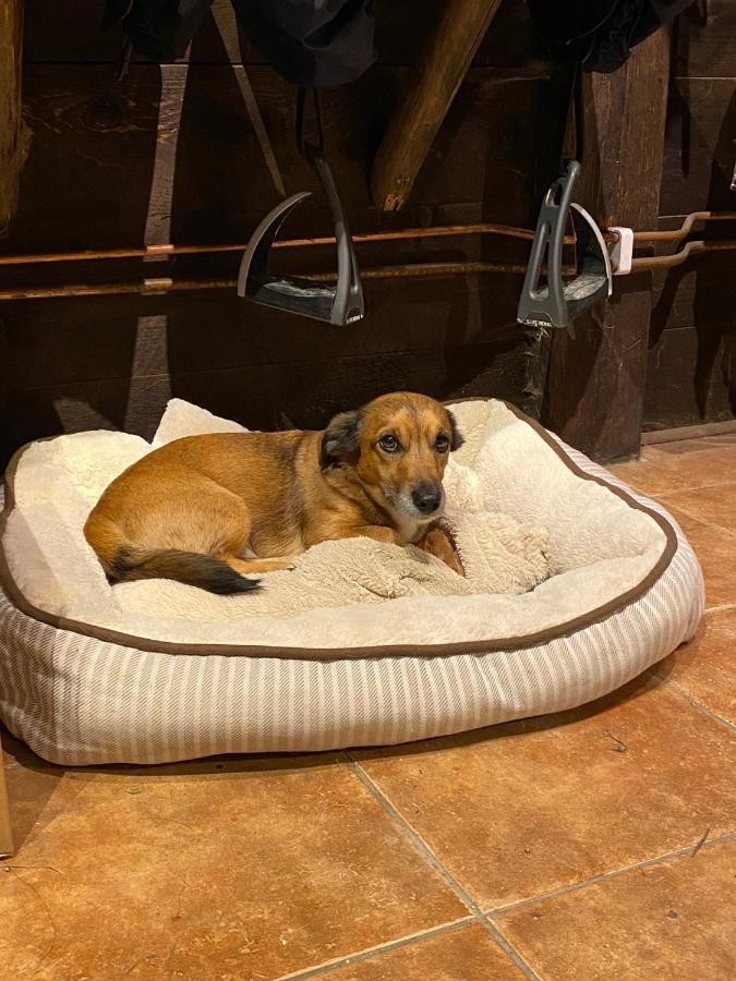J A Ranch Bed & Breakfast Stromsnasbruk Bagian luar foto