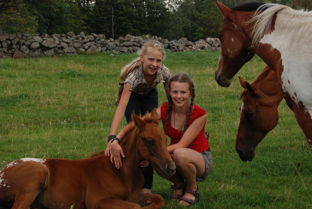 J A Ranch Bed & Breakfast Stromsnasbruk Bagian luar foto